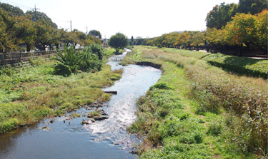 「河川」業務及び主な事例