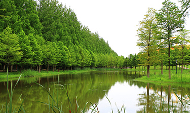 造園・景観業務及び主な事例